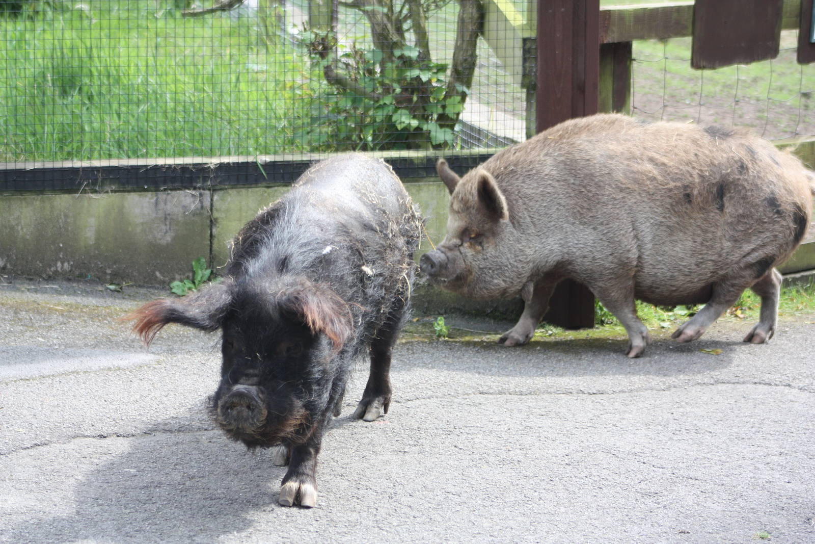 Time for bed though, 12th July 2014