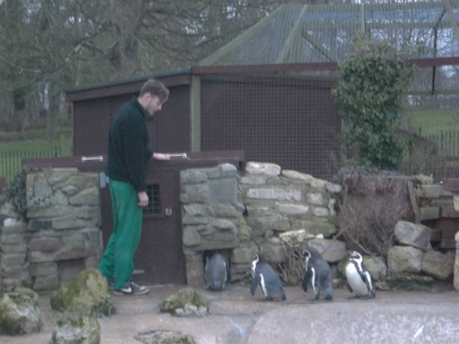 Time for bed with madgeandshane, 31st January 2015