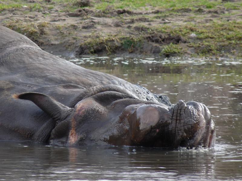 Time to get up, now ?