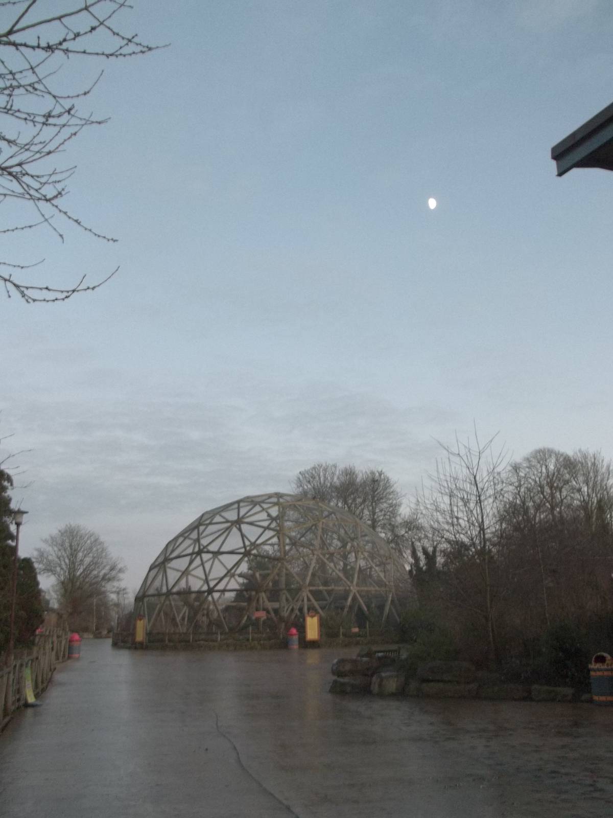 Time to scuttle off for the 16.10 bus, 30th December 2014