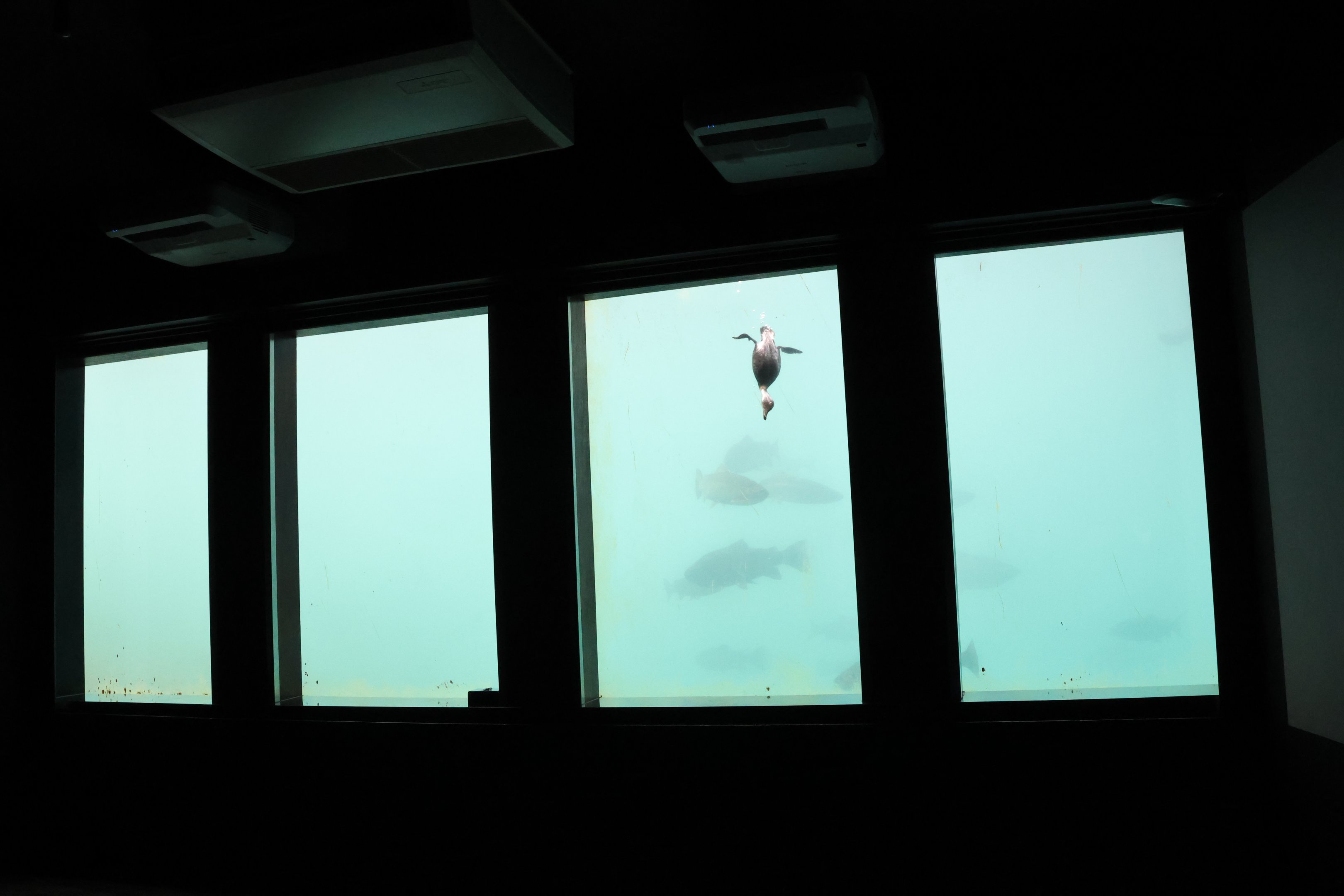 Time Tripper: Viewing windows, Lake Wakatipu, Queenstown