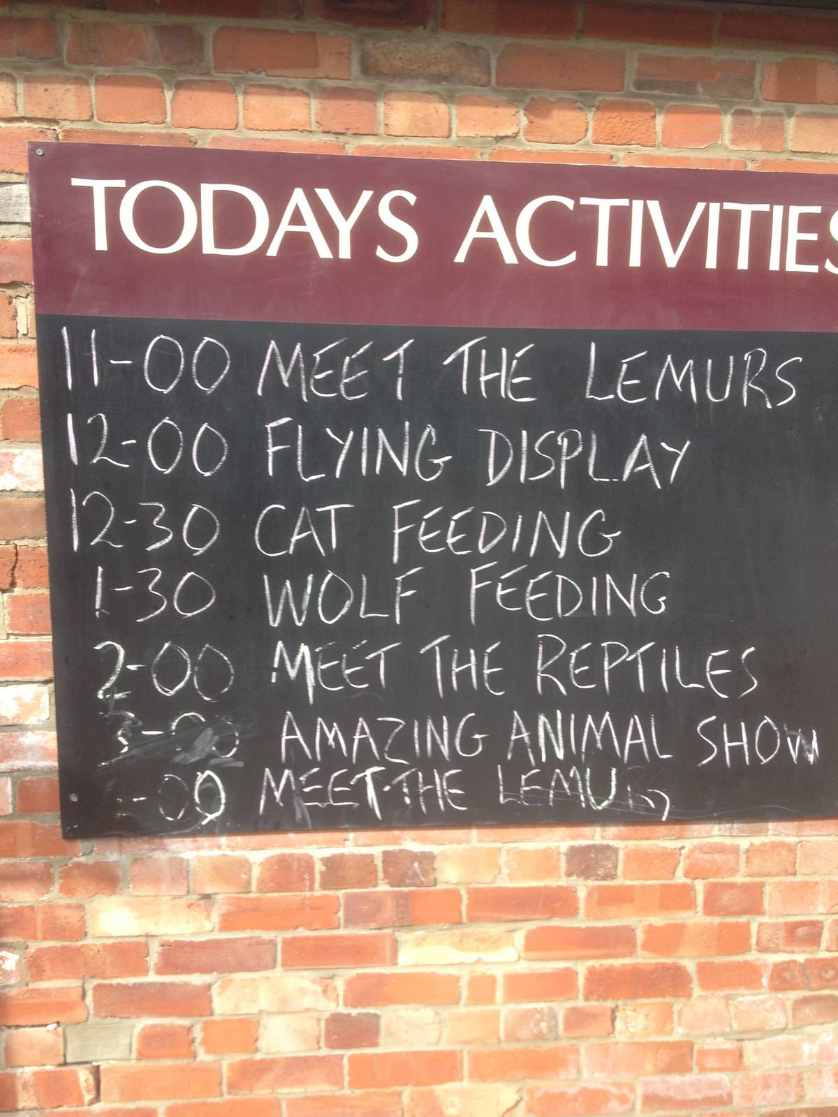 Timetable of days events. 15-8-14