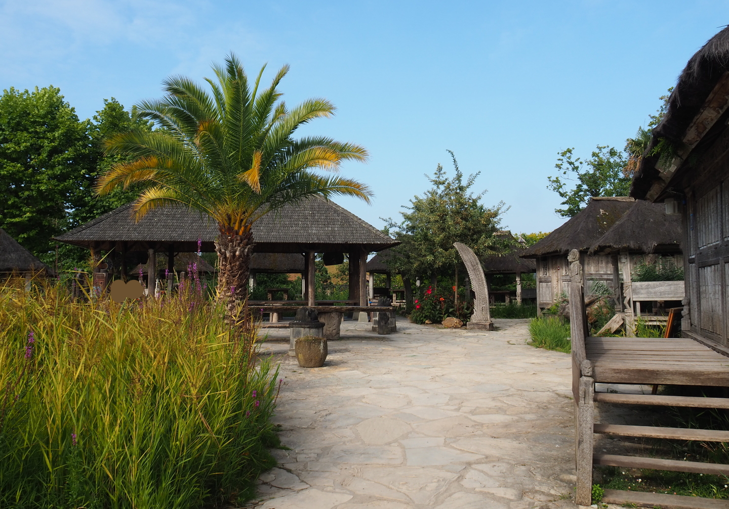 Timorese village area, 2021-09-02