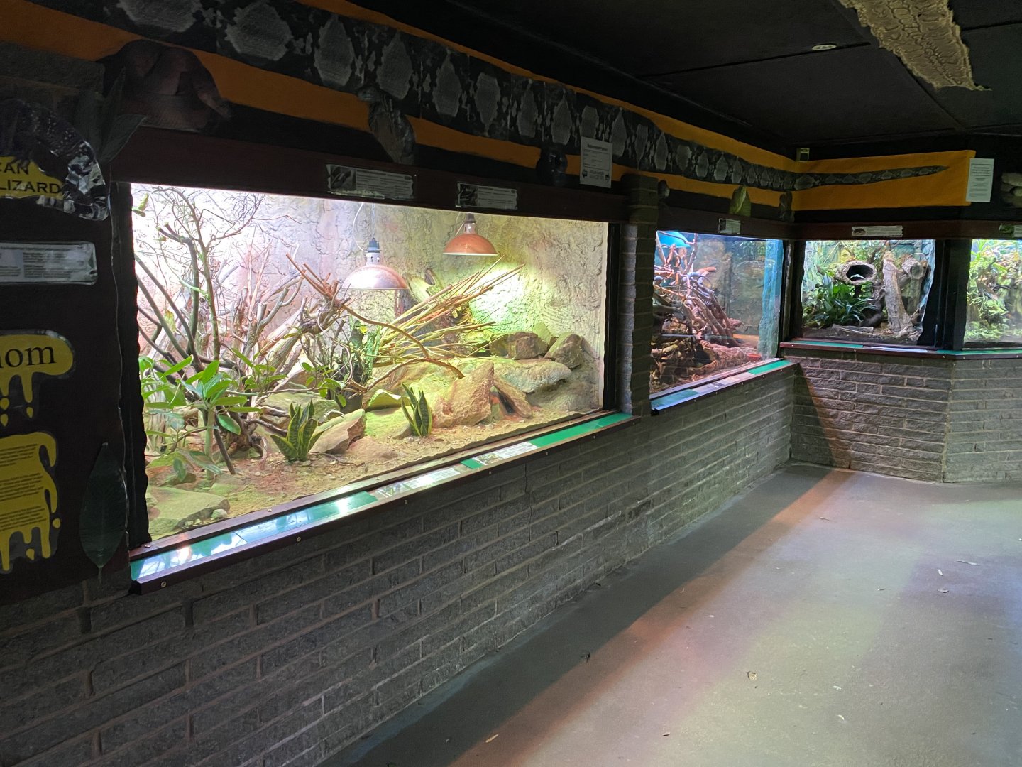 Timothy Willson Reptile House 150220