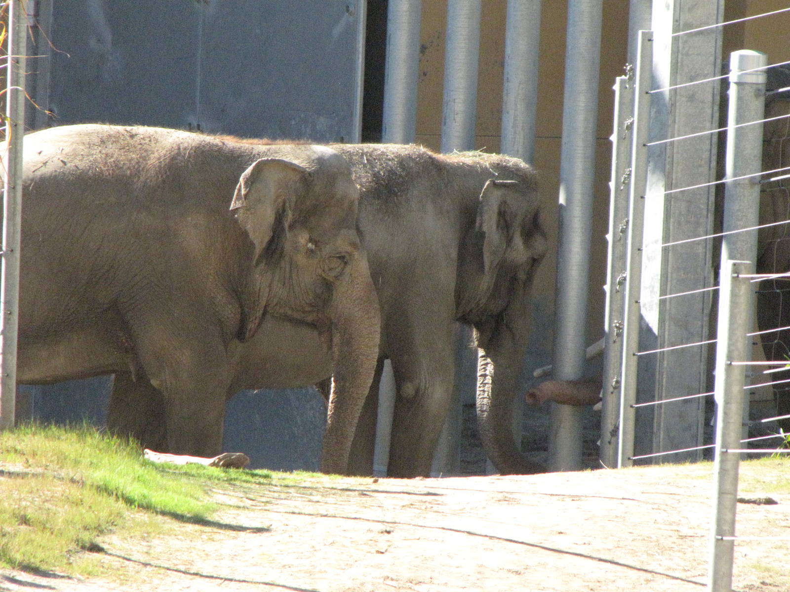Tina and Jewel Saying Hi To Billy