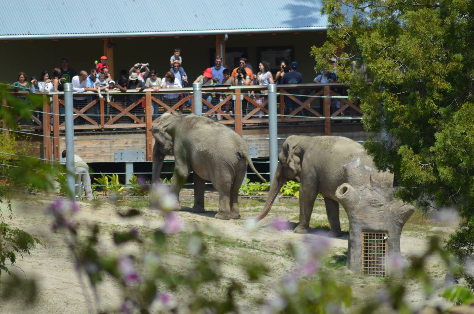 Tina and Jewel With Keeper