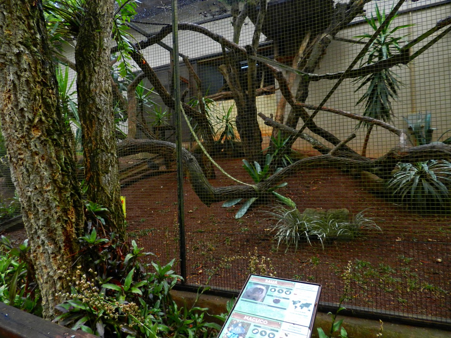 Tinamou and titi monkey exhibit - Zooparque Itatiba