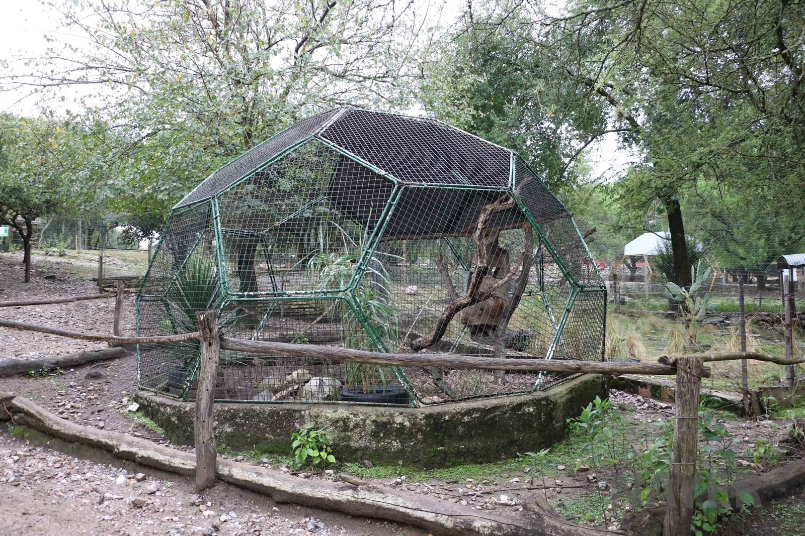 Tinamou/ Patagonian conure aviary - Tatu Carreta, April 2016.