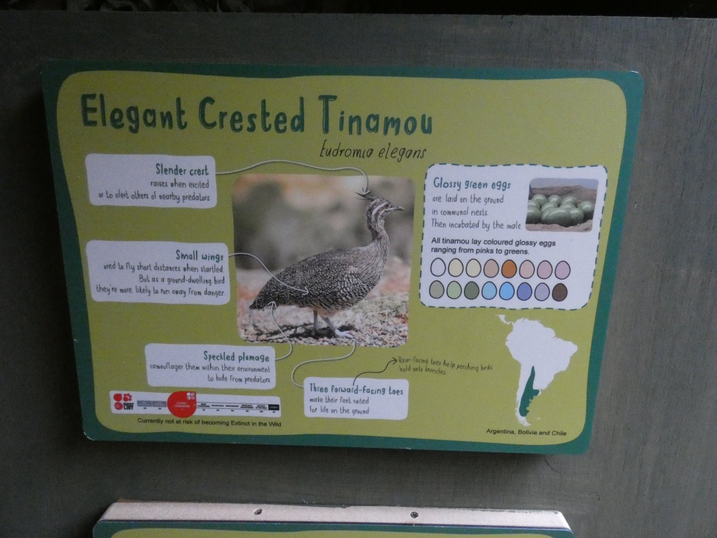 Tinamou signage
