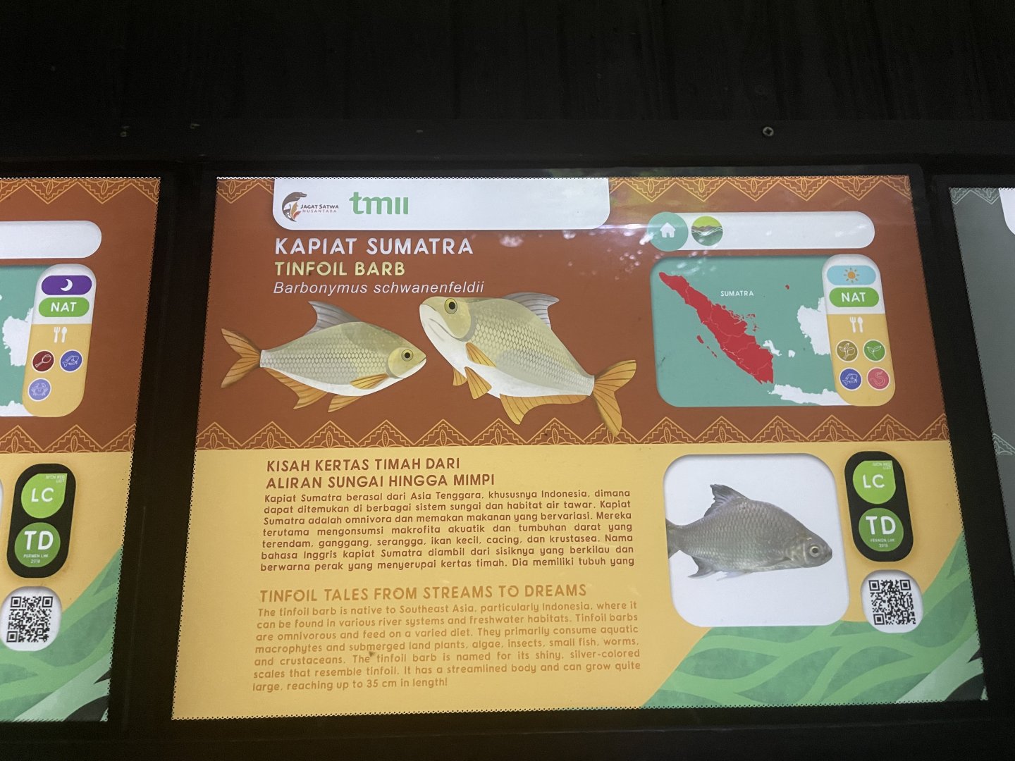 tinfoil barb signage - dunia air tawar