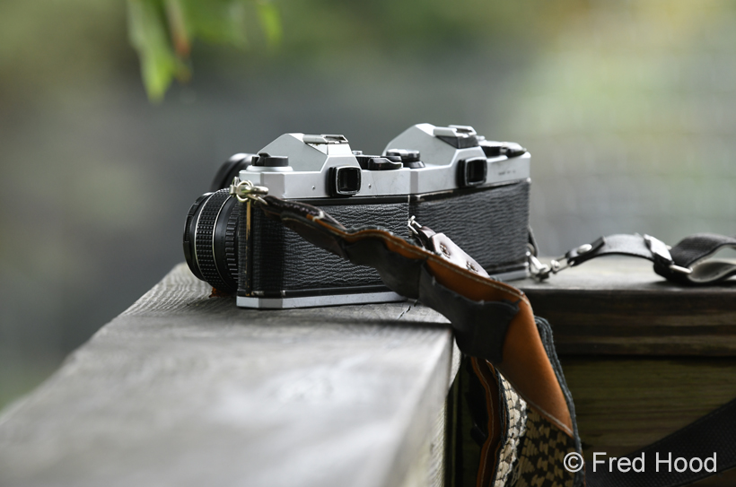 Tinopup's retro Pentax K1000's