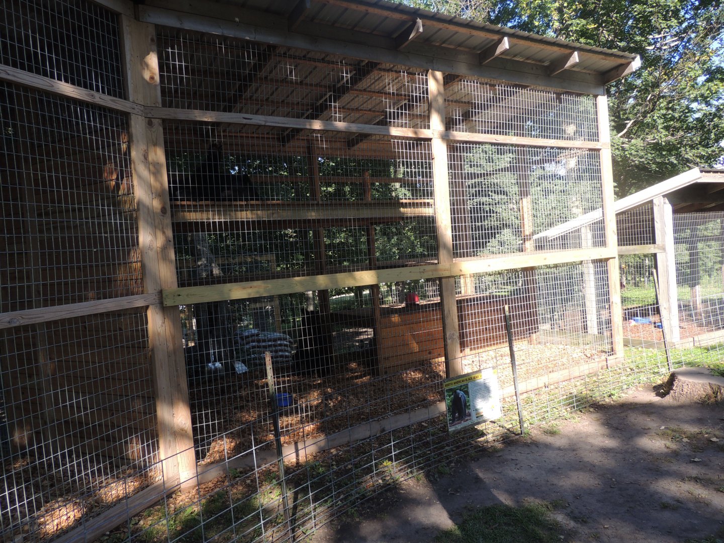 tiny black bear exhibit
