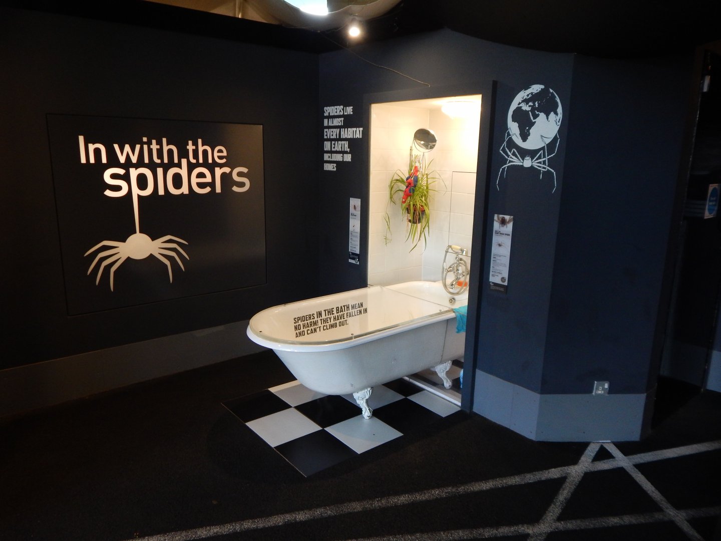 Tiny Giants - Spider exhibit 180322