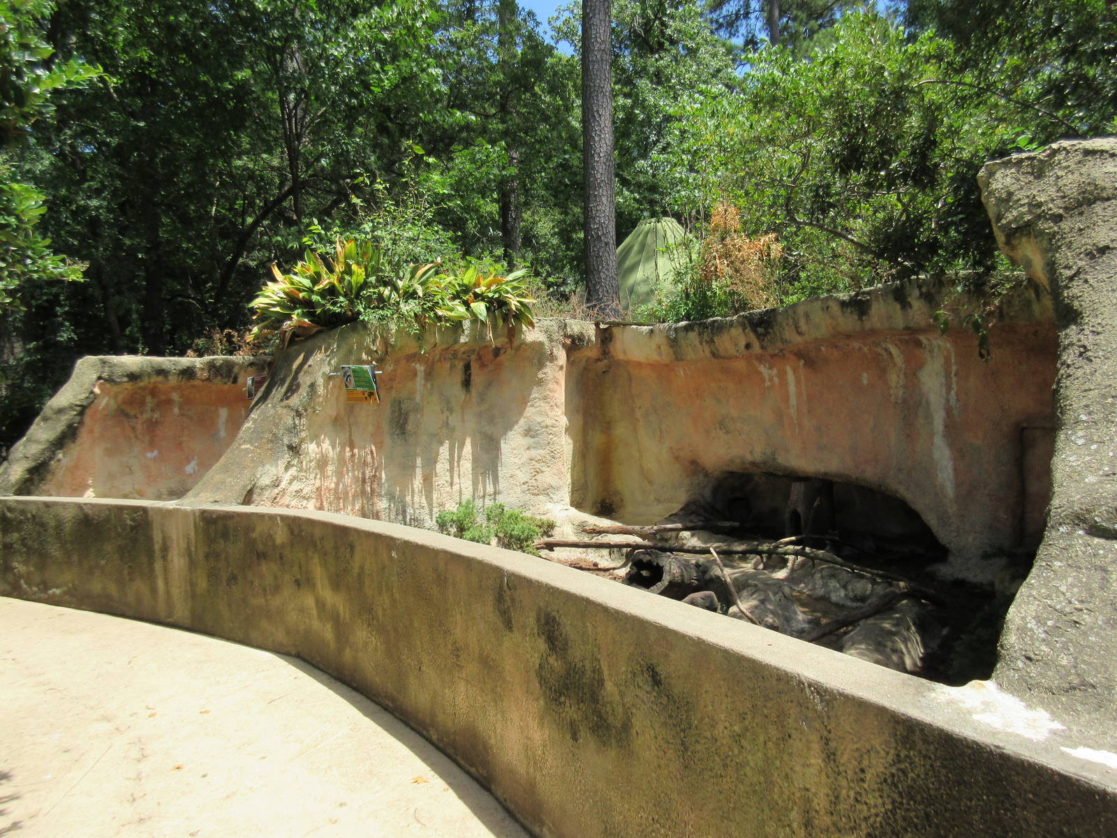 Tiny Grottoes (Raccoon + African Crested Porcupine)