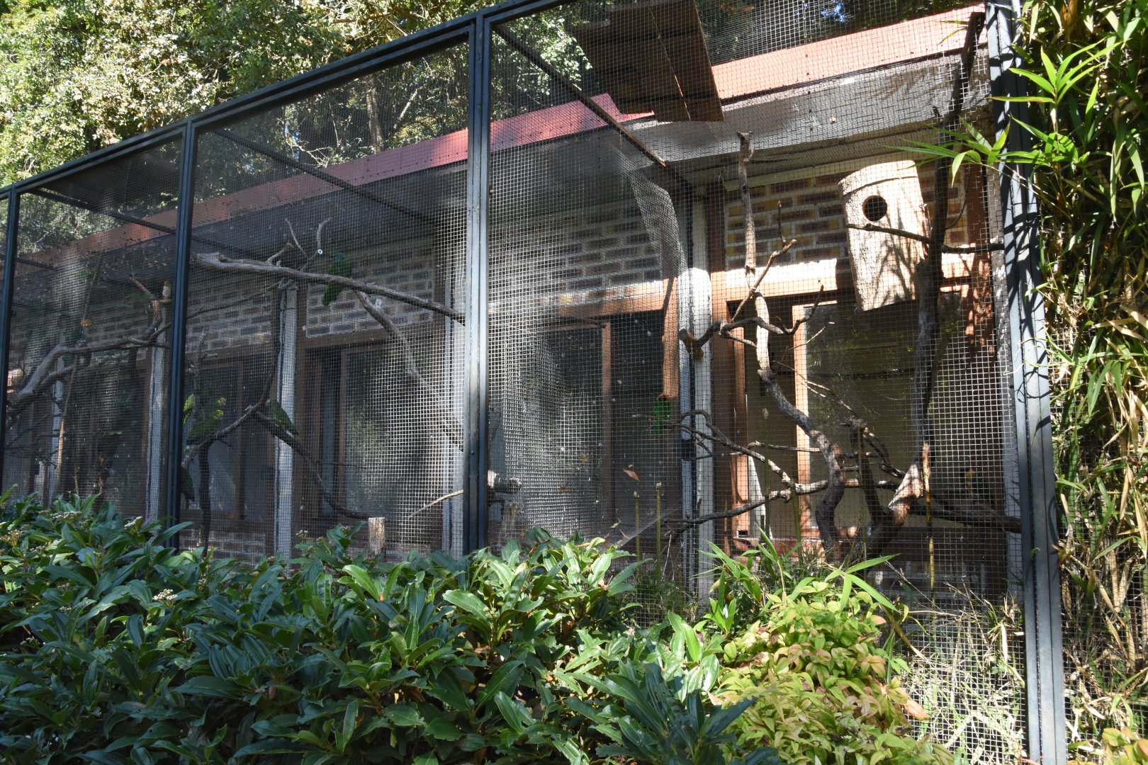 Tiny parrot aviaries