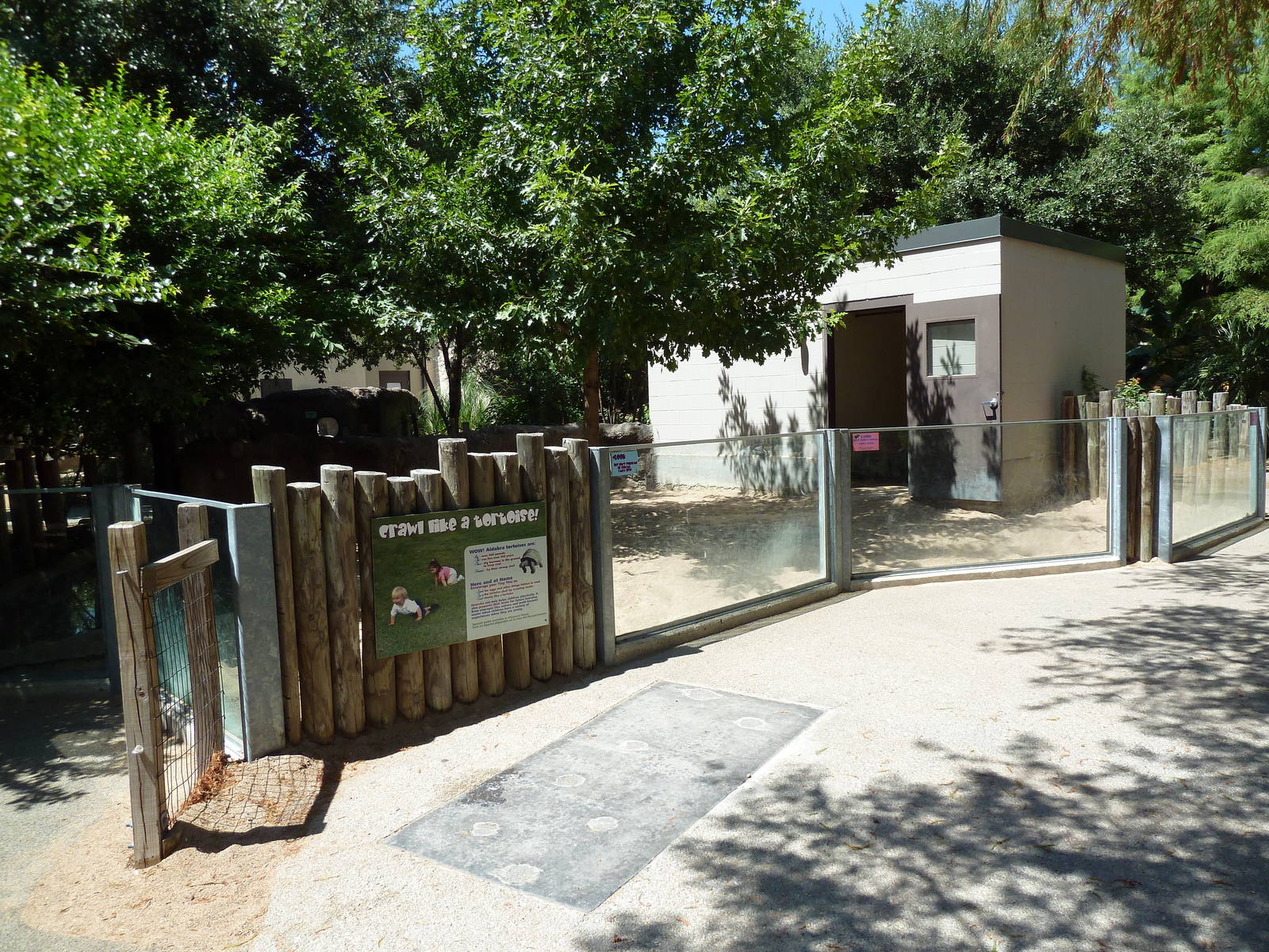 Tiny Tot Nature Spot - Aldabra Tortoise Exhibit