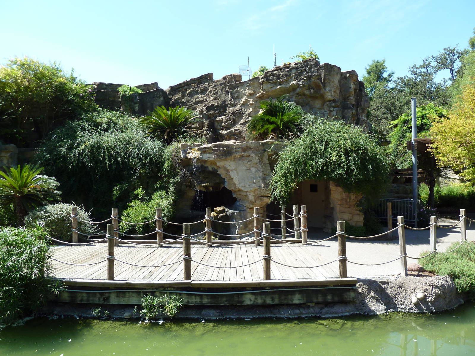 Tiny Tot Nature Spot - Boardwalk