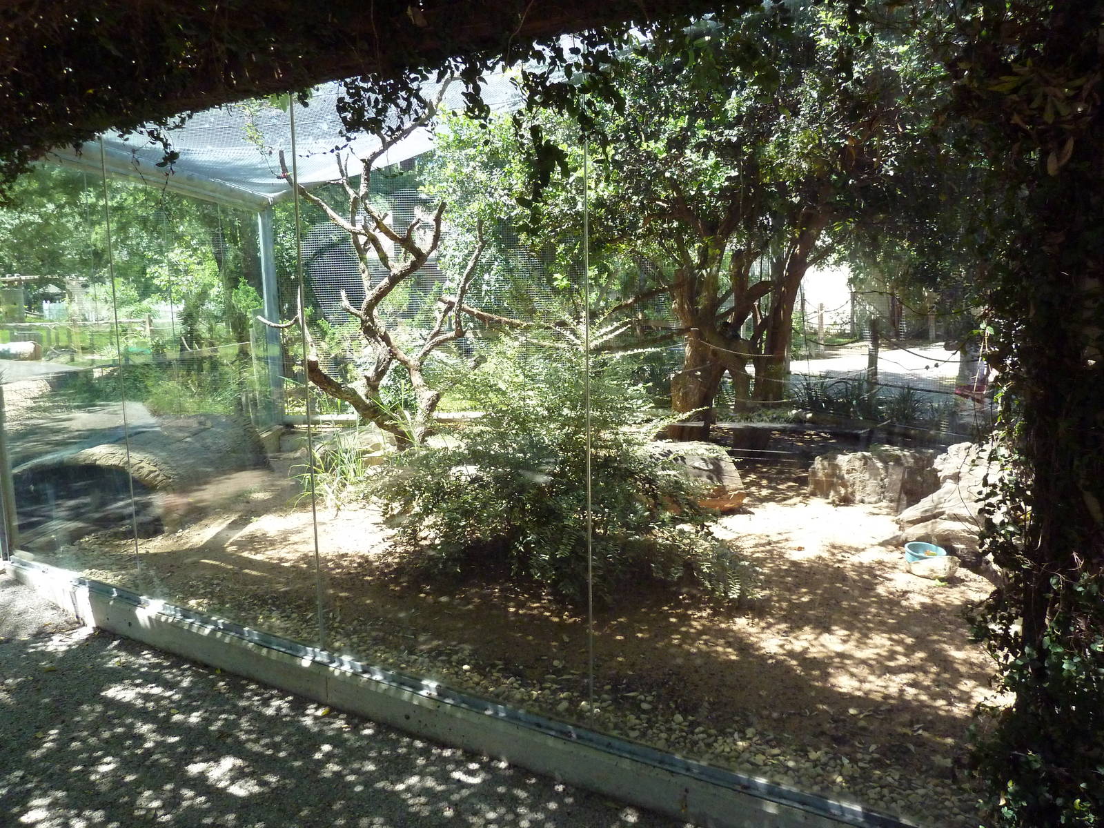 Tiny Tot Nature Spot - Coati Exhibit