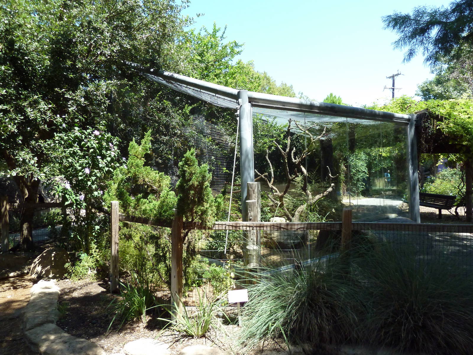Tiny Tot Nature Spot - Coati Exhibit