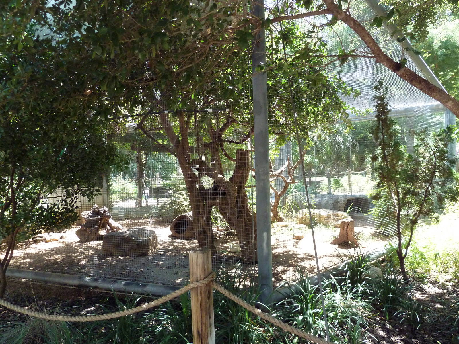 Tiny Tot Nature Spot - Coati Exhibit