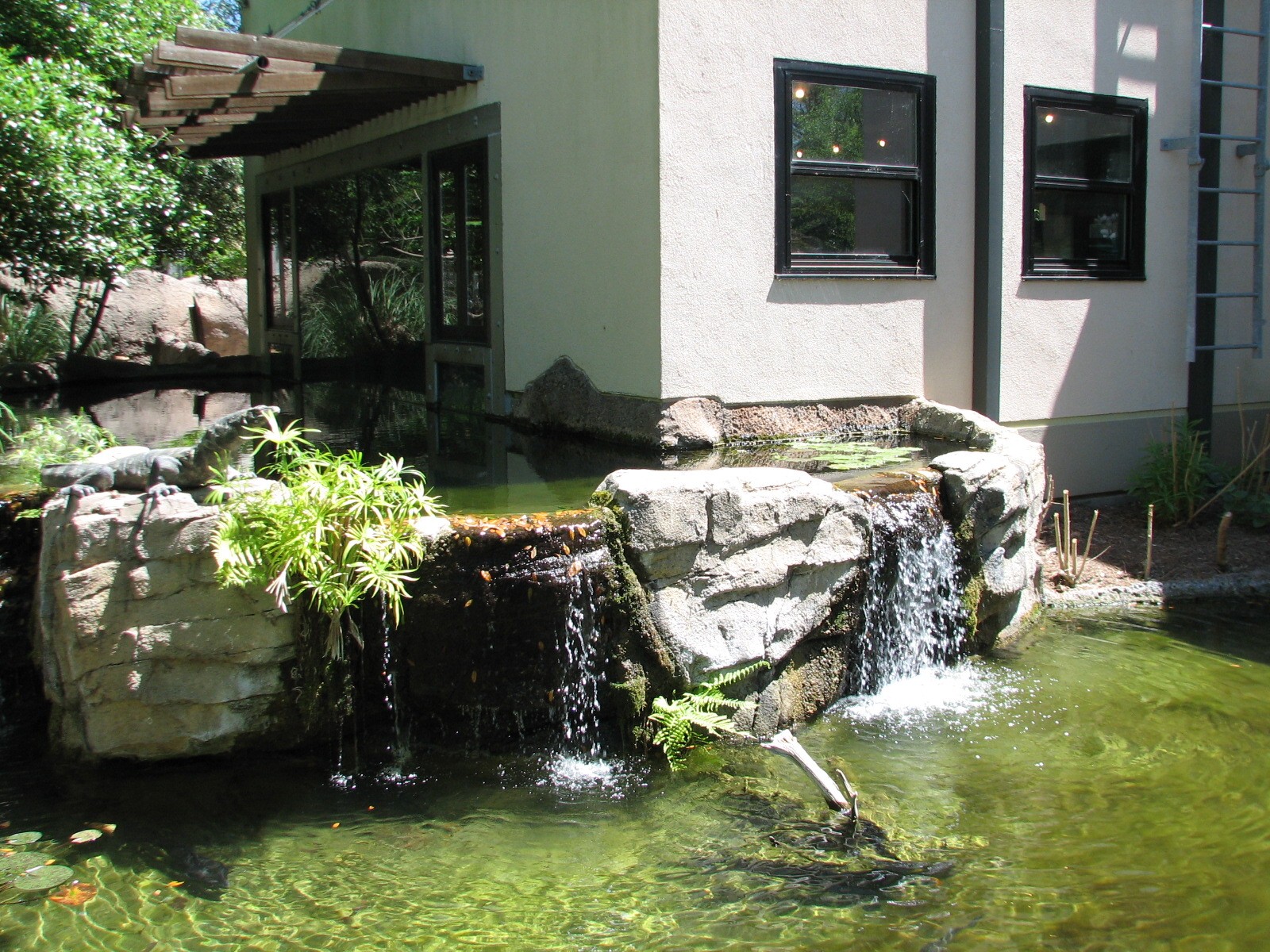 Tiny Tot Nature Spot - Discovery House - Turtle Pond