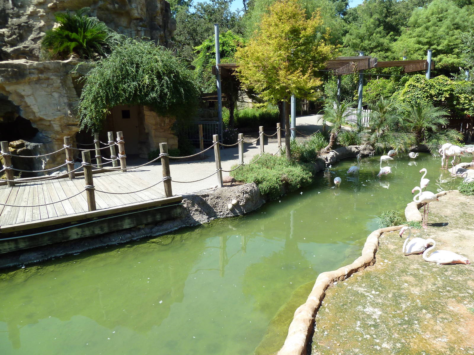 Tiny Tot Nature Spot - Flamingo Lagoon