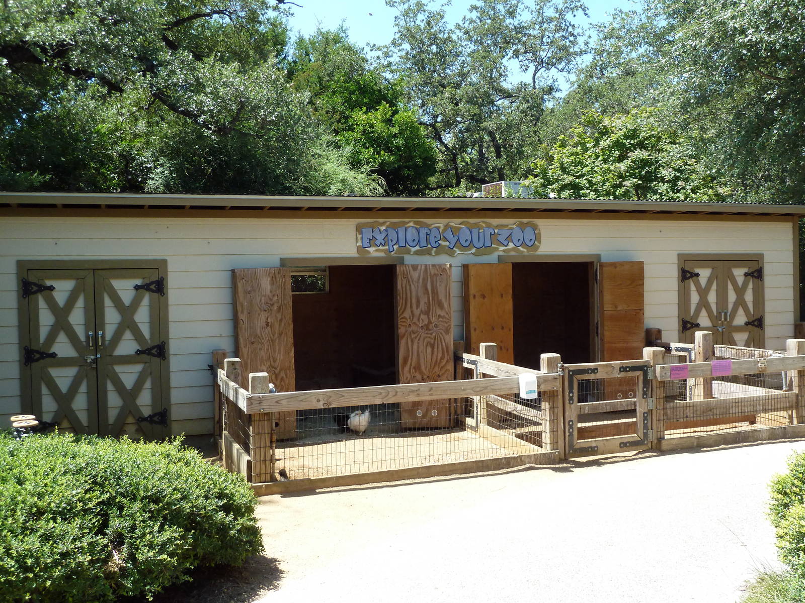 Tiny Tot Nature Spot - My Backyard