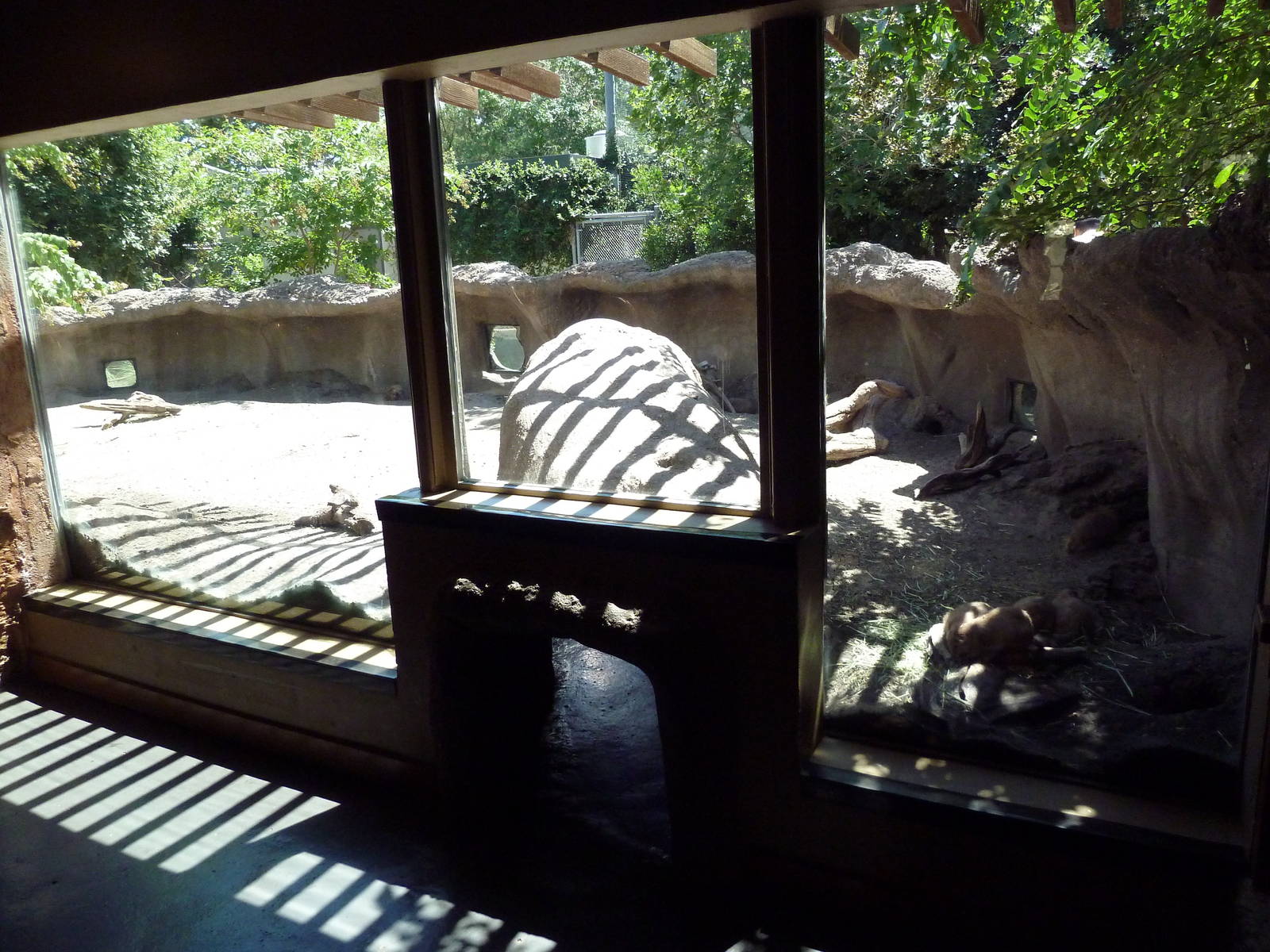 Tiny Tot Nature Spot - Prairie Dog Exhibit