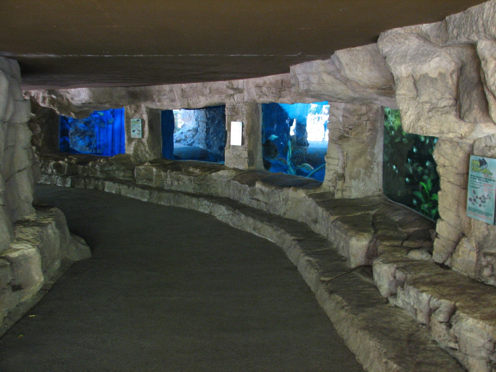 Tiny Tot Nature Spot - Tropical Waters - Aquariums