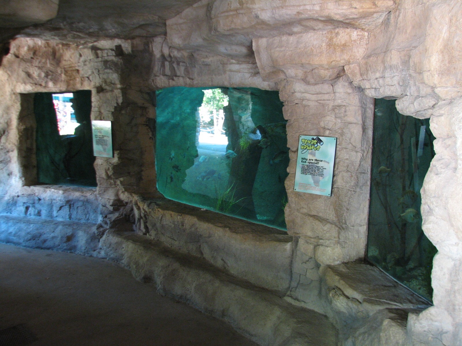 Tiny Tot Nature Spot - Tropical Waters - Texas Aquarium