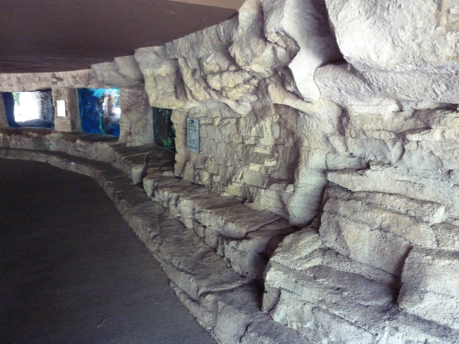 Tiny Tot Nature Spot - Tropical Waters