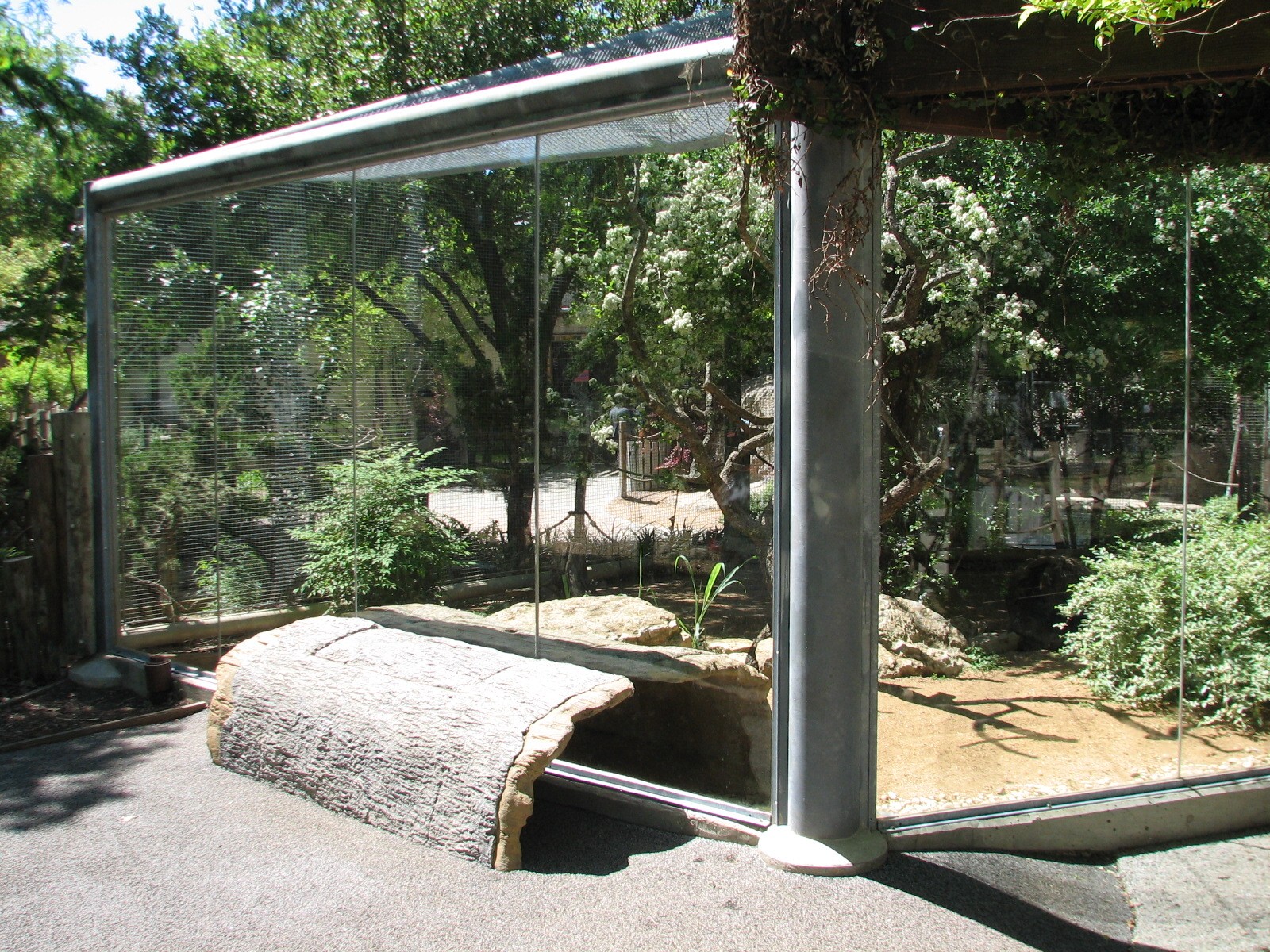 Tiny Tot Nature Spot - Tropics - Coati Exhibit