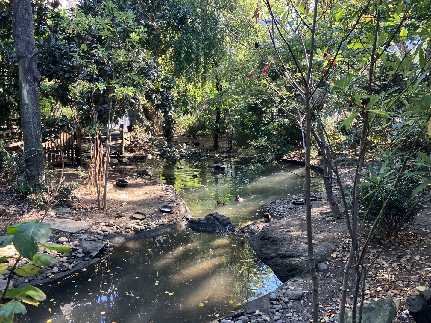 Tisch Children’s Zoo - Aviary