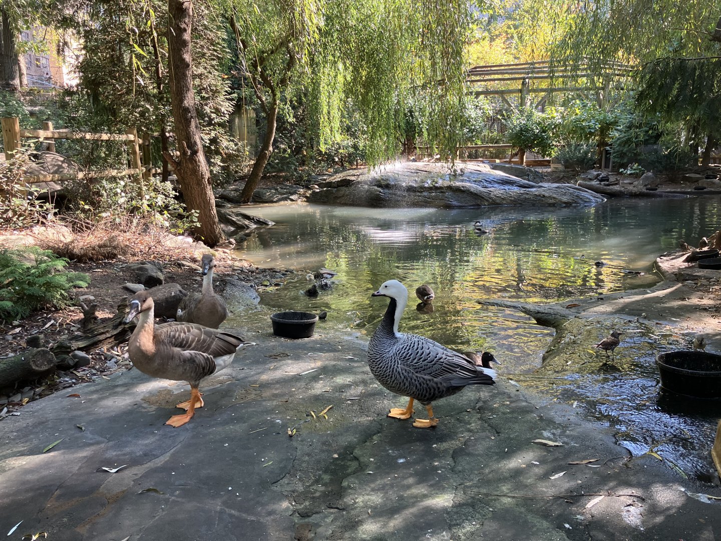 Tisch Children’s Zoo - Aviary
