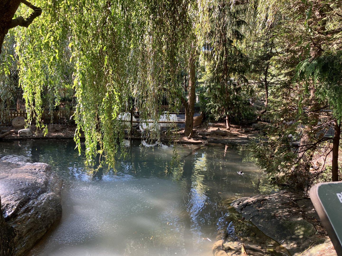 Tisch Children’s Zoo - Aviary