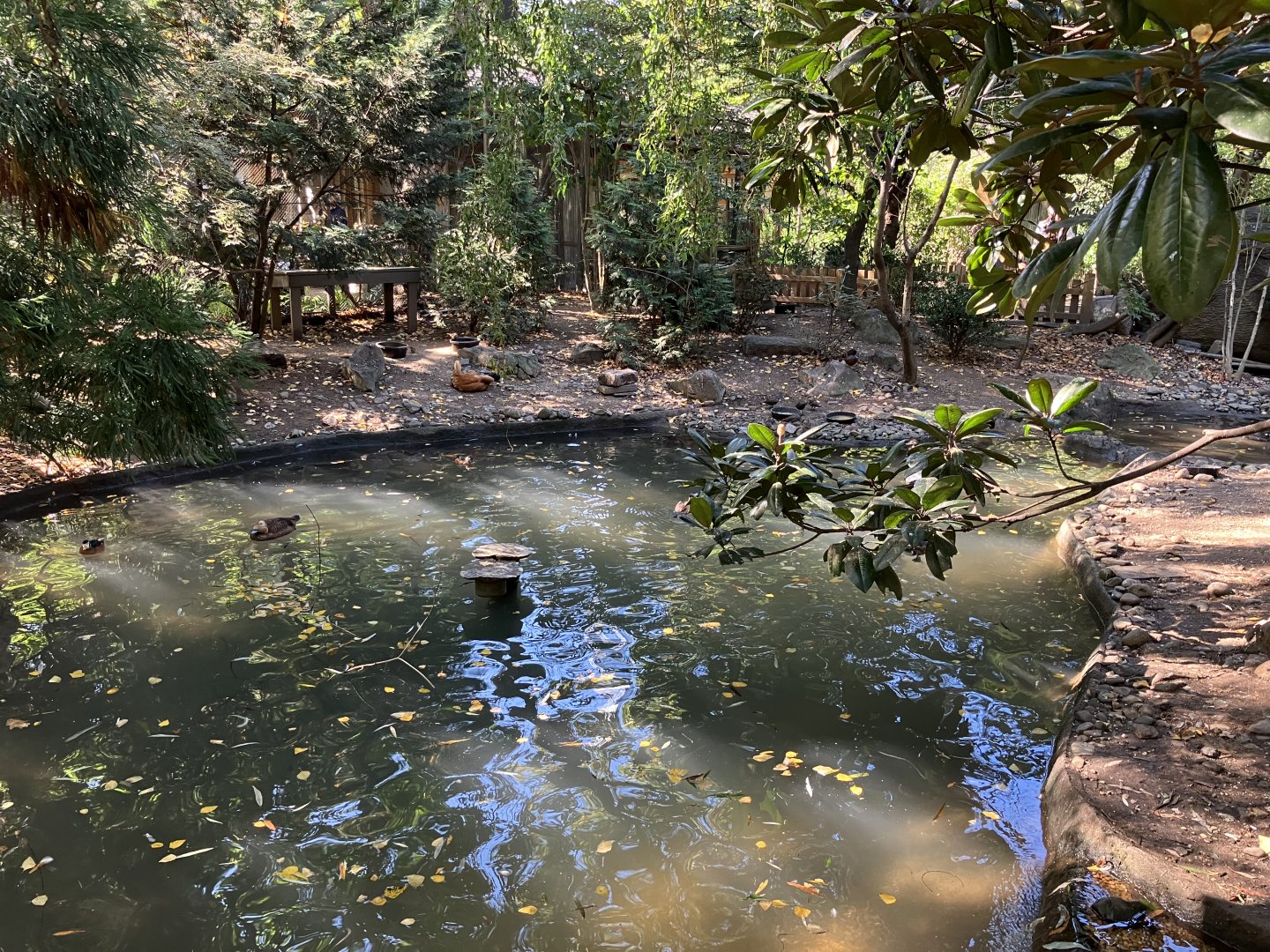 Tisch Children’s Zoo - Aviary