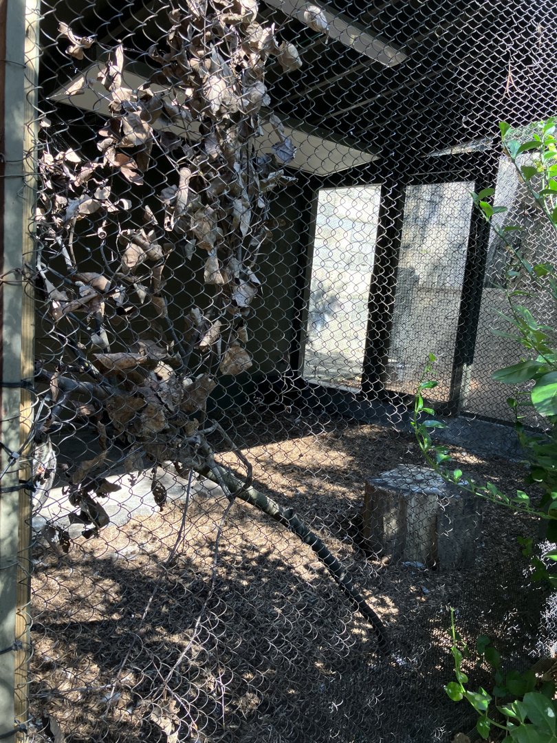 Tisch Children’s Zoo - Black Stork Exhibit