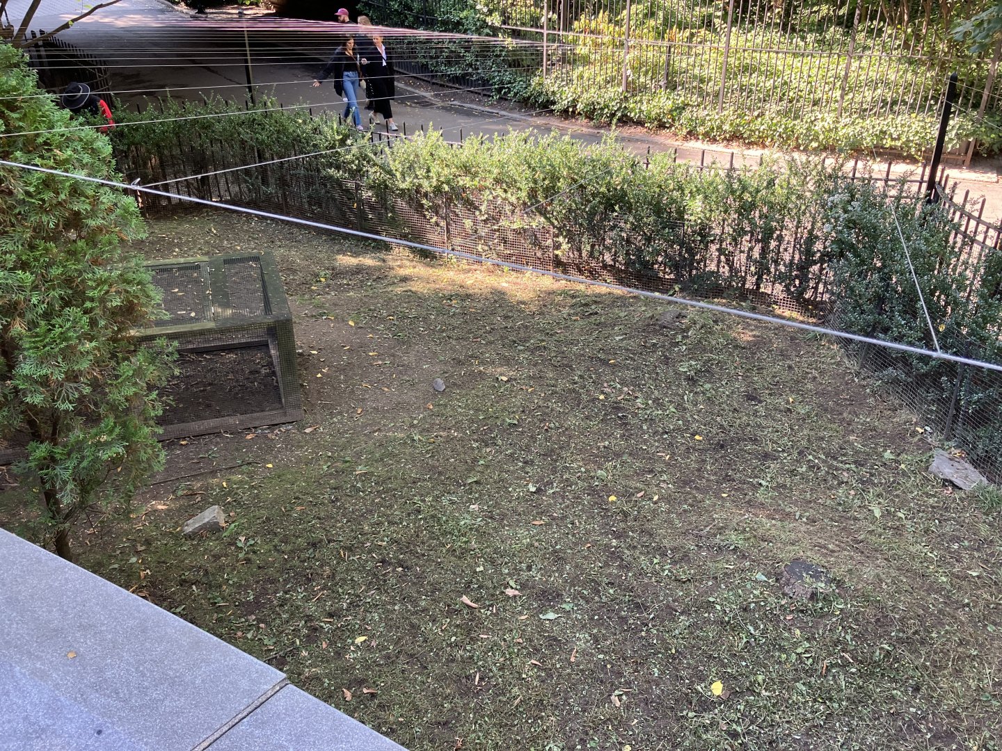 Tisch Children’s Zoo - Domestic Rabbit Exhibit