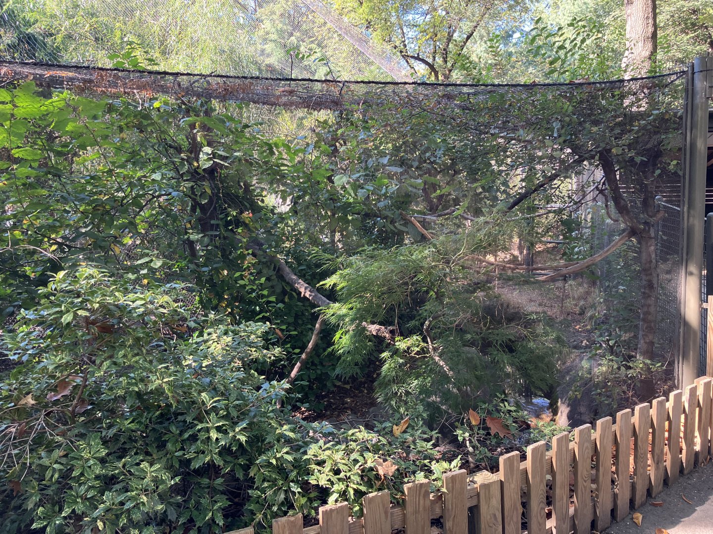 Tisch Children’s Zoo - Laughing Kookaburra Aviary