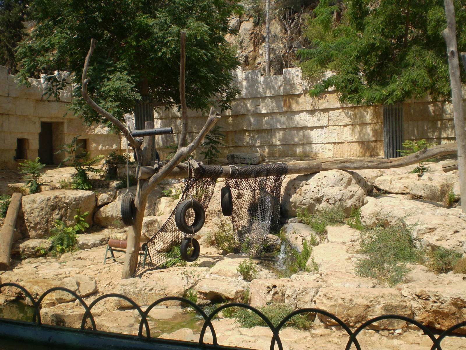 Tisch Family Zoo, Jerusalem July 2008
