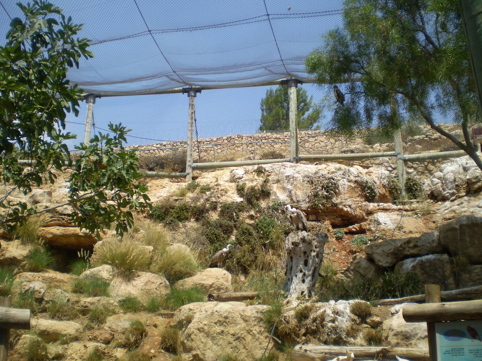 Tisch Family Zoo, Jerusalem July 2008