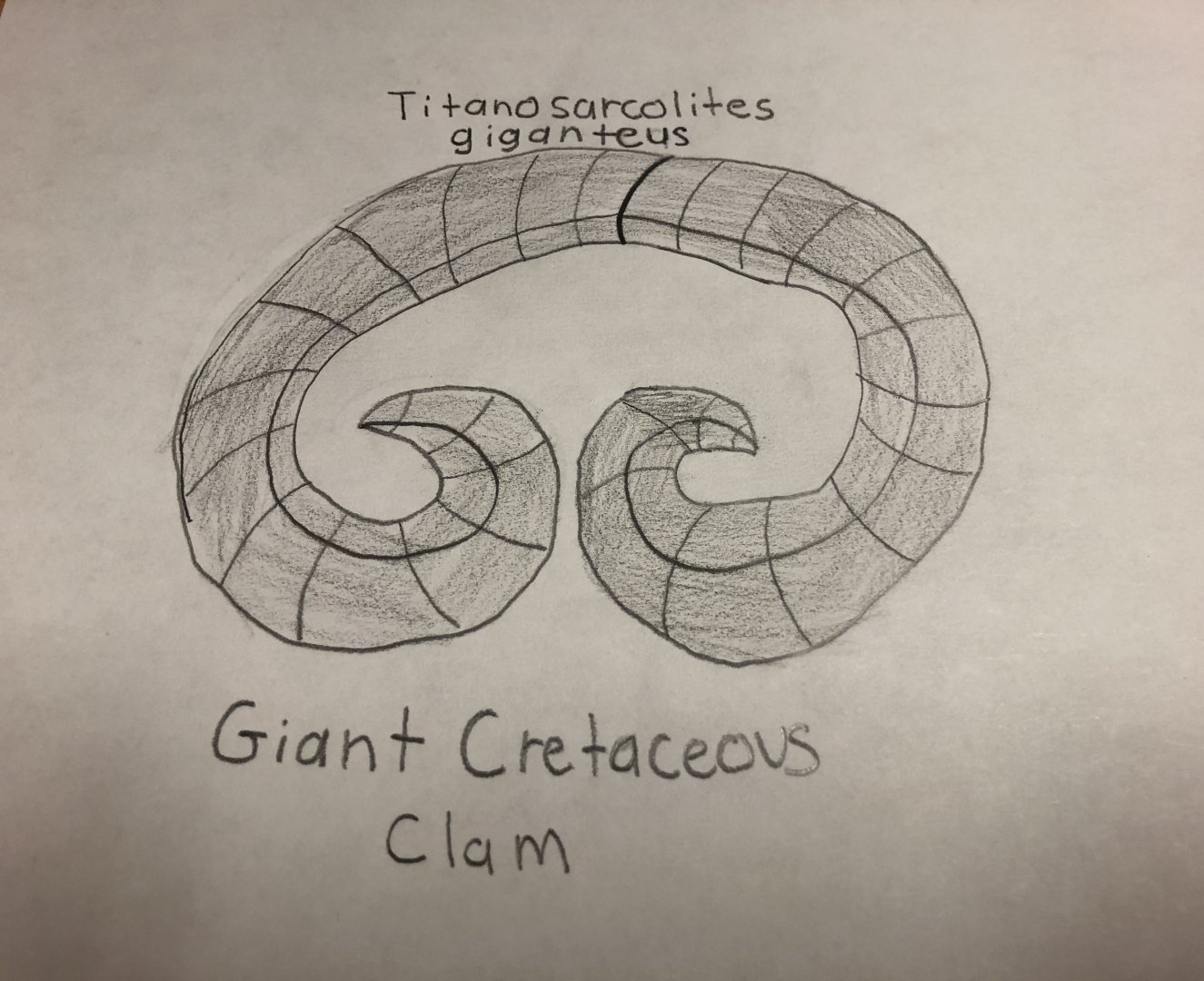 Titanosarcolites giganteus