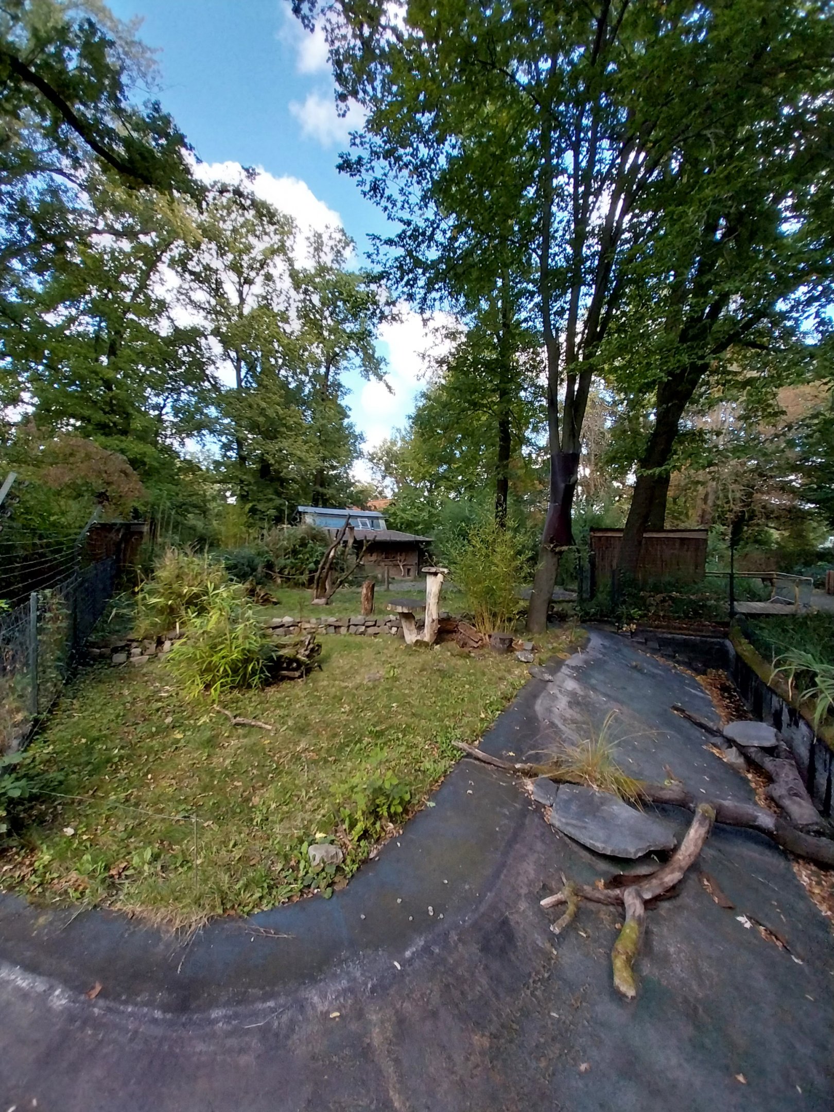 Titi and Agouti enclosure