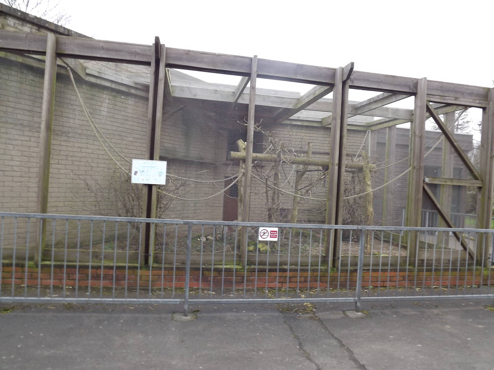 Titi Monkey exhibit at Blackpool Zoo 26/02/12