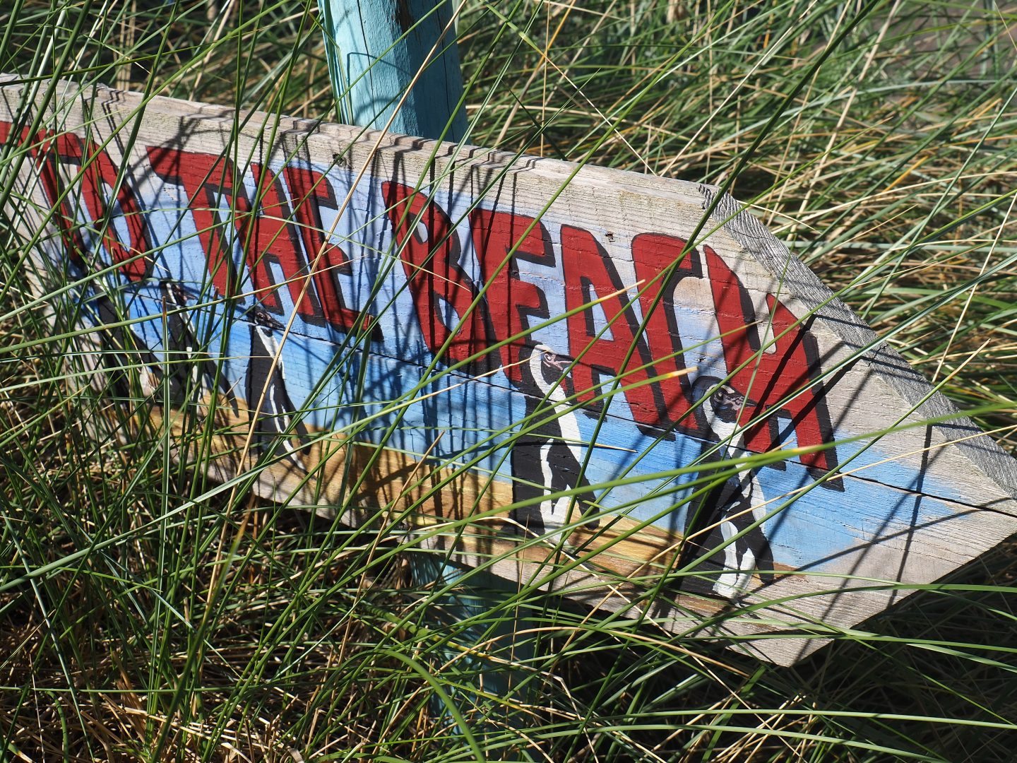 To the beach sign with penguins, 2019-06-01