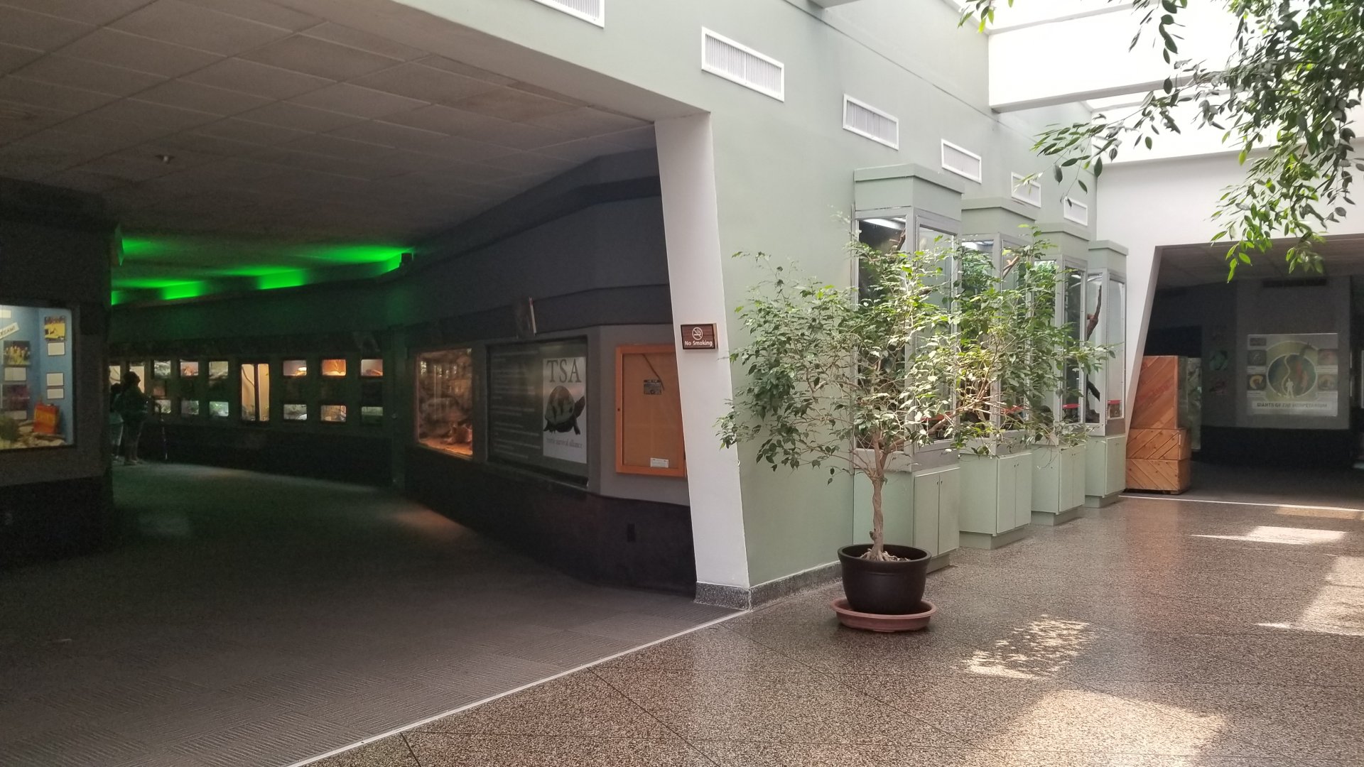 to the left of herp entrance