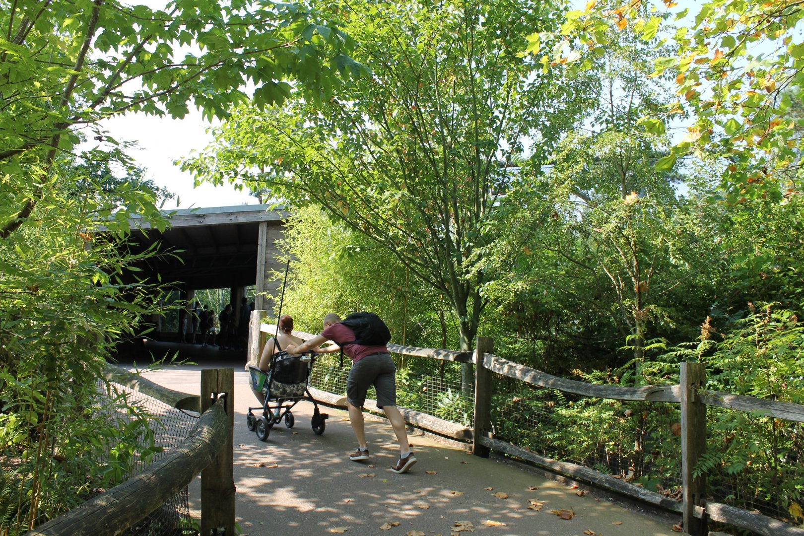 To the Monkey-enclosure