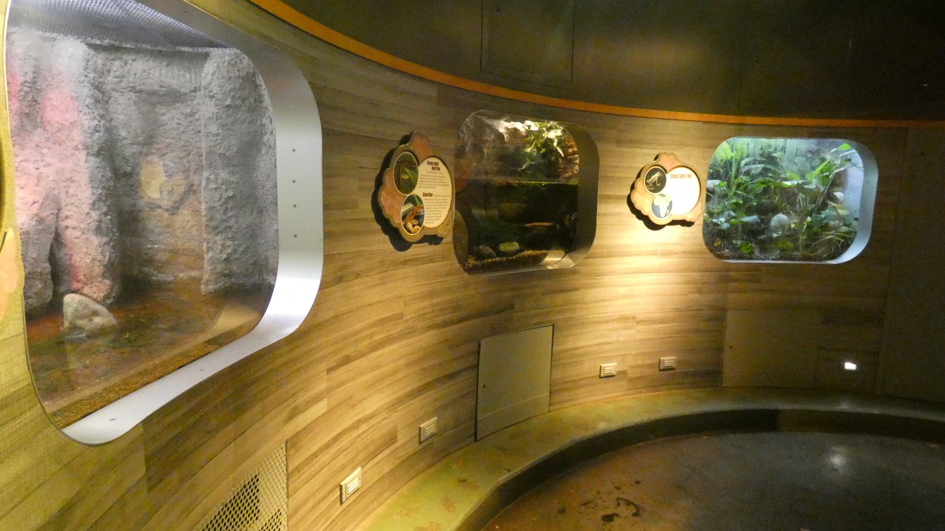 Toad Exhibits (Mostly), National Amphibian Conservation Center - July 2022