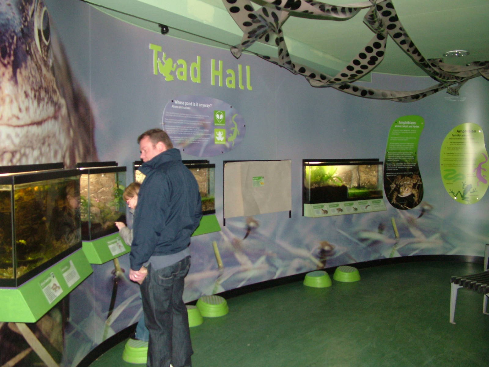 Toad Hall amphibian exhibit at Slimbridge 06/02/10