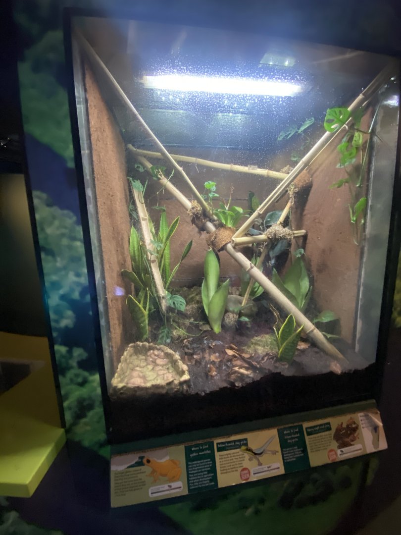 Toad Hall - Mixed exhibit 110424